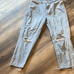 Express Mom Jeans